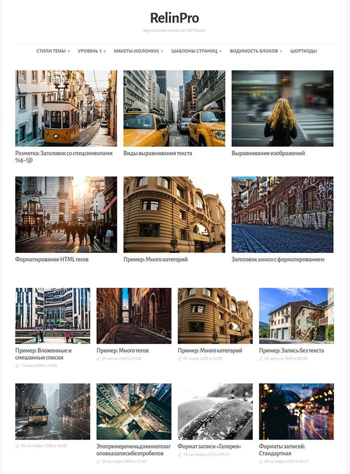 Сайт на основе WordPress темы RelinPro